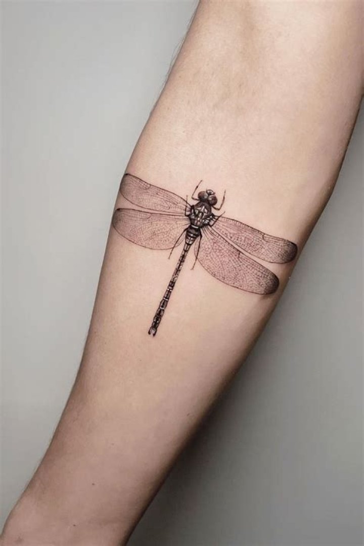 Artistic Expressions: Meaningful Forearm Dragonfly Tattoos