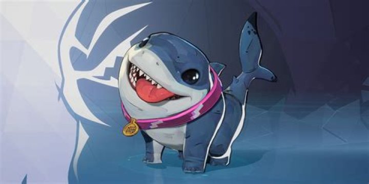 Meet Jeff The Land Shark: The Adorable Land-Dwelling Creature Taking The Internet By Storm