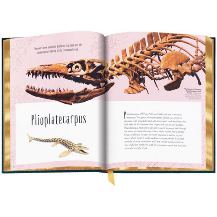 The Complete Guide To Scott Evans, The Actor