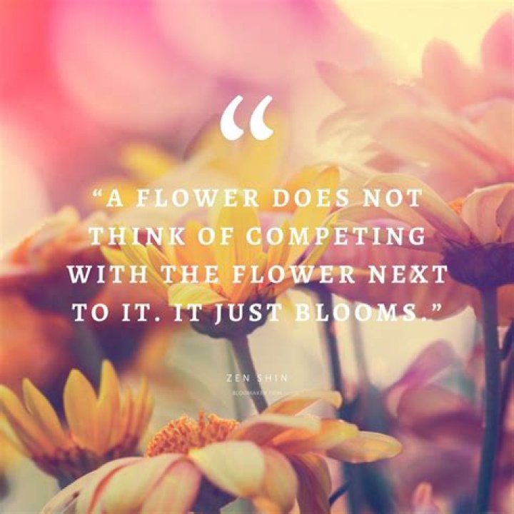 The Ultimate Collection Of Beautiful Quotes About Flowers