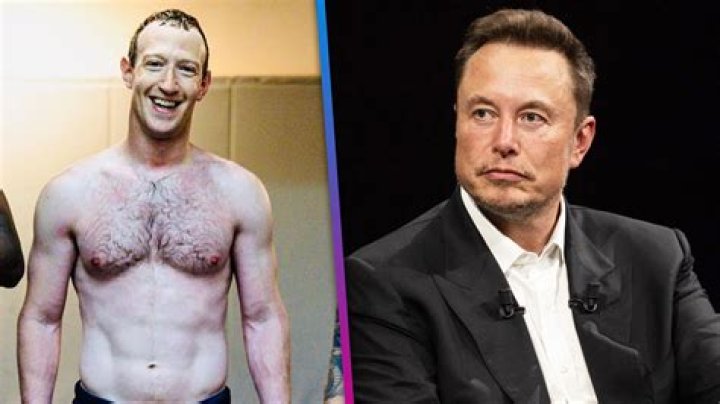 Unveiling The Mystique Of Elon Musk Shirtless: A Peek Into The Man Behind The Vision